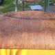 Pair of school chairs Mullca by Jacques Hitier