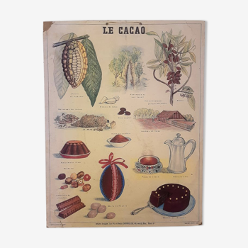 Affiche pédagogique "le cacao" musée scolaire Emile Deyrolle