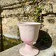 Powder pink vase cup