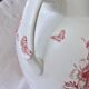 Immense brocade from the 19th century signed Bertrand Bordeaux Anemone ironstone.
