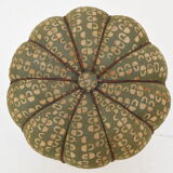 Mid-century stool designed by Jindrich Halabala,1950's.