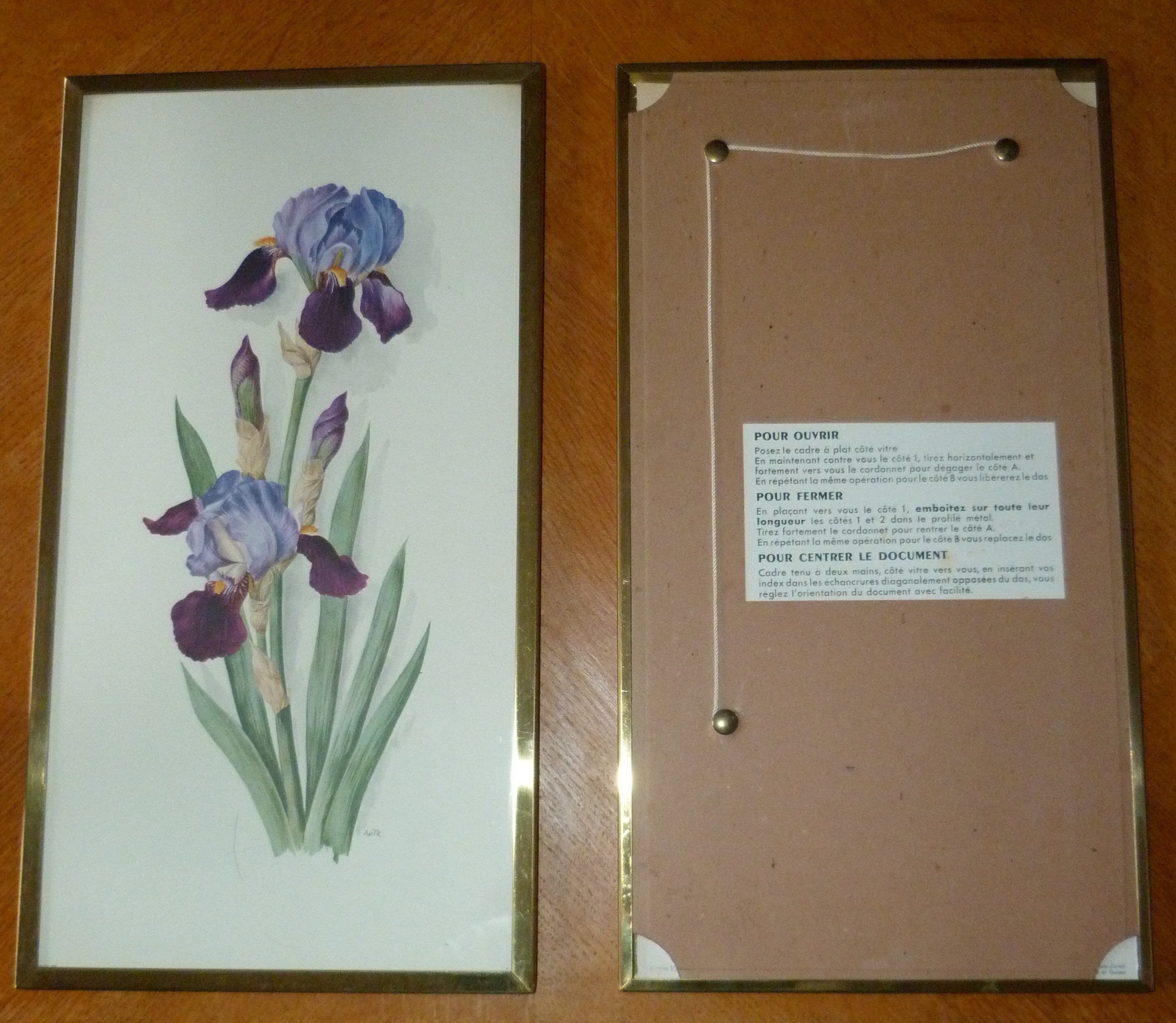 Pair of floral lithographs