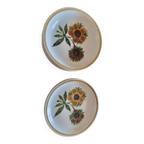 Gien plate