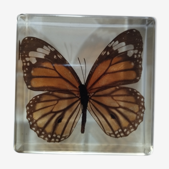 Butterfly resin block
