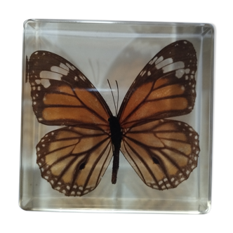 Butterfly resin block