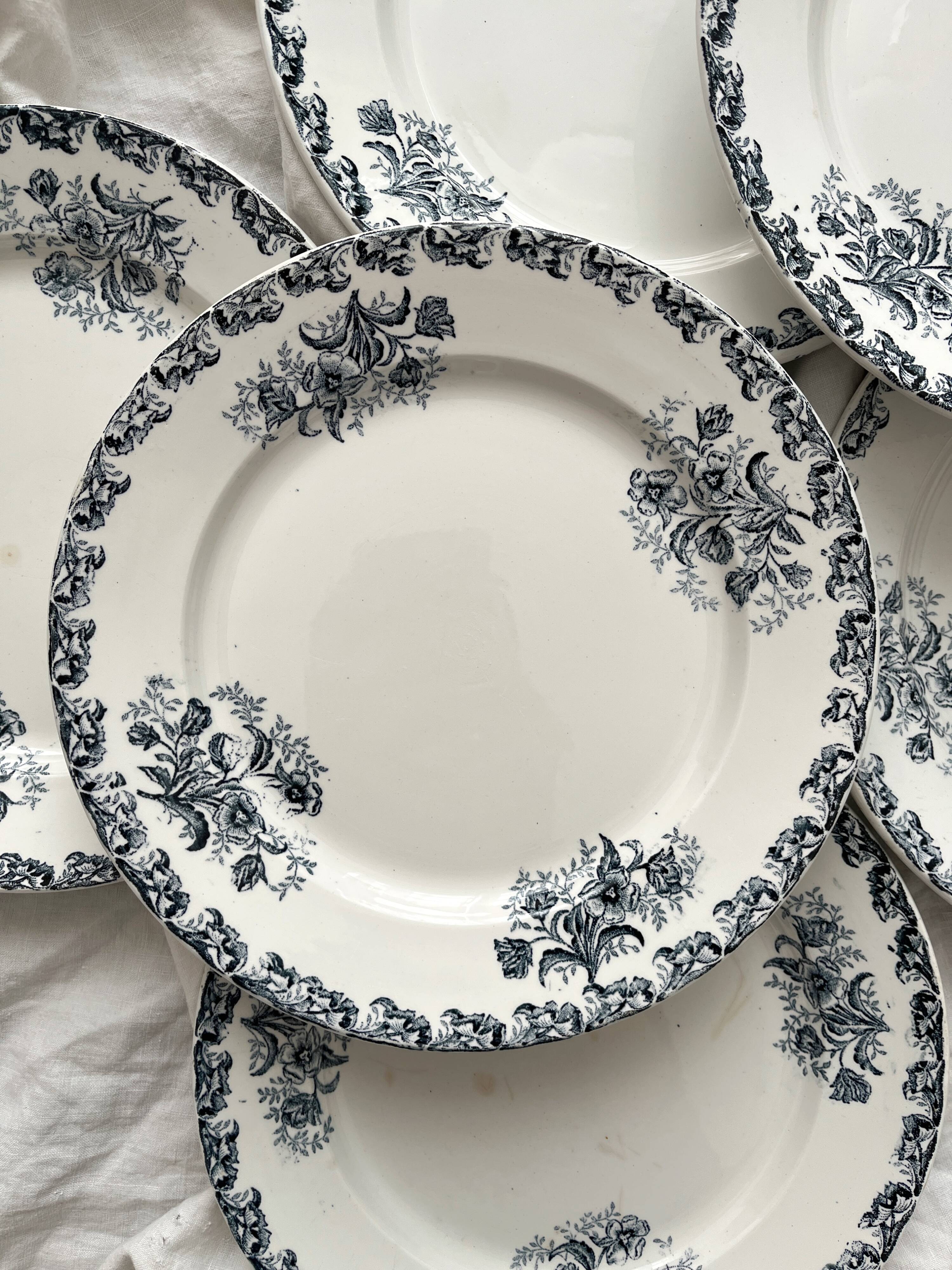 6 flat ironware plates "Albert" AG Clairefontaine