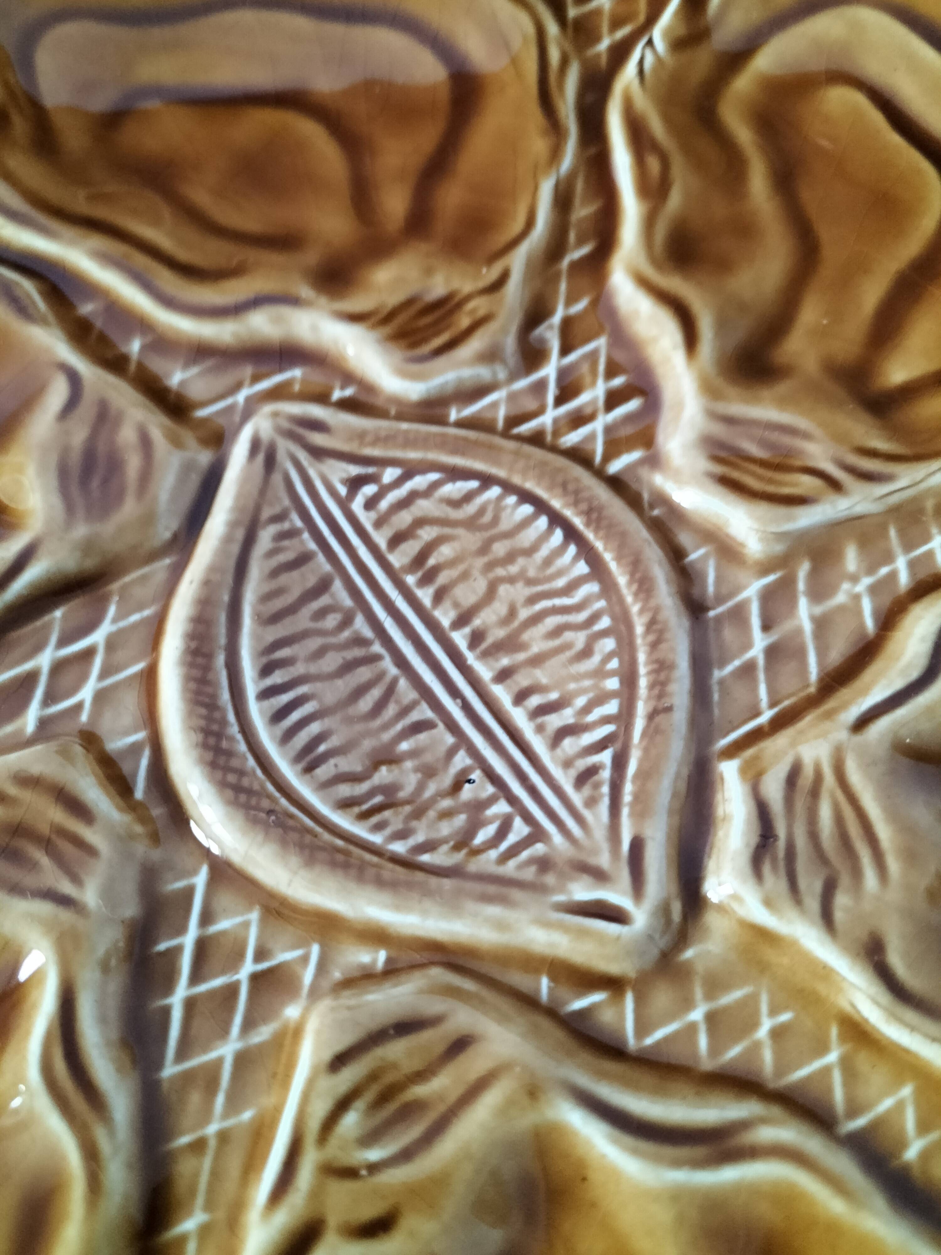 Duo of oyster plates in slip