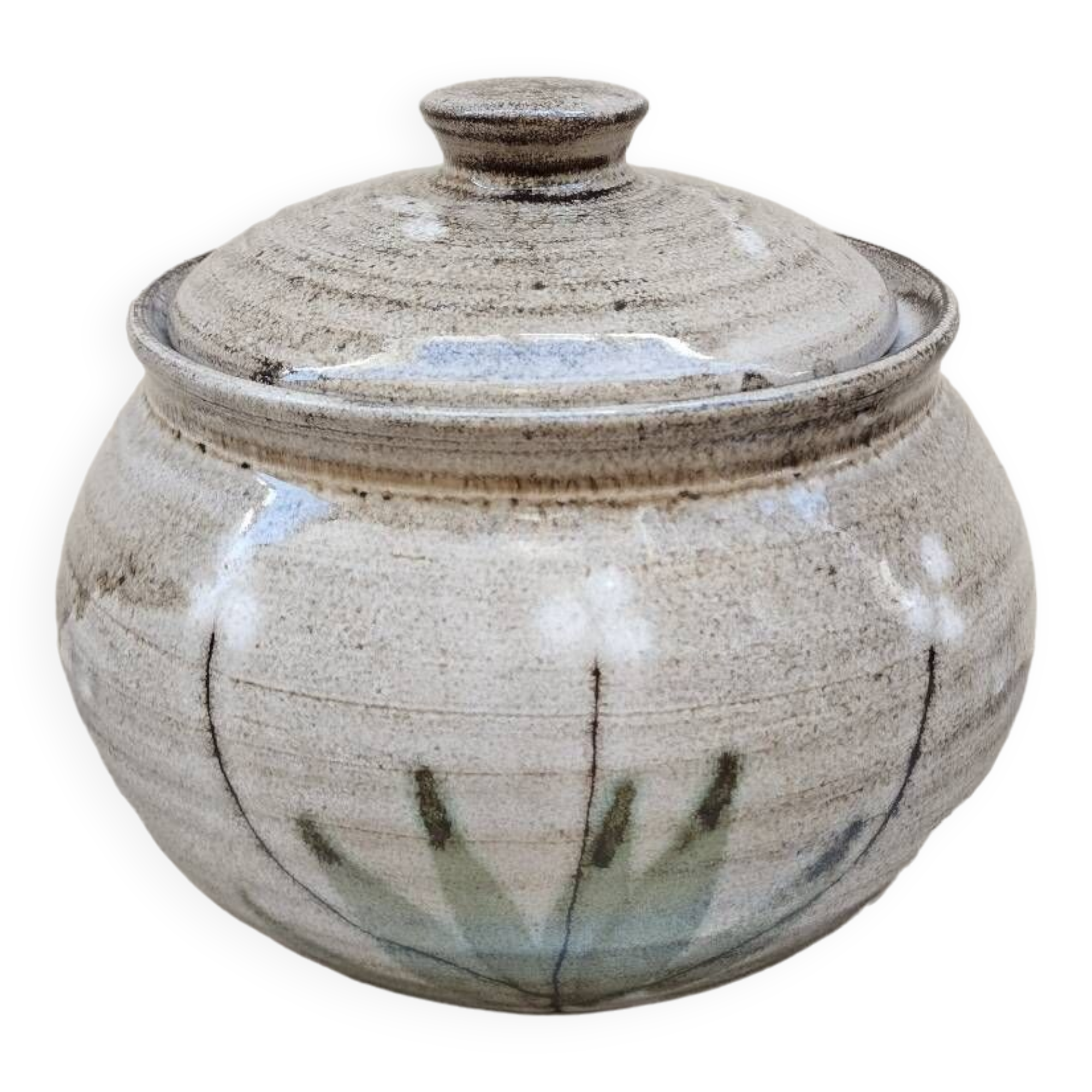 Covered enameled earthenware pot