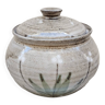 Covered enameled earthenware pot