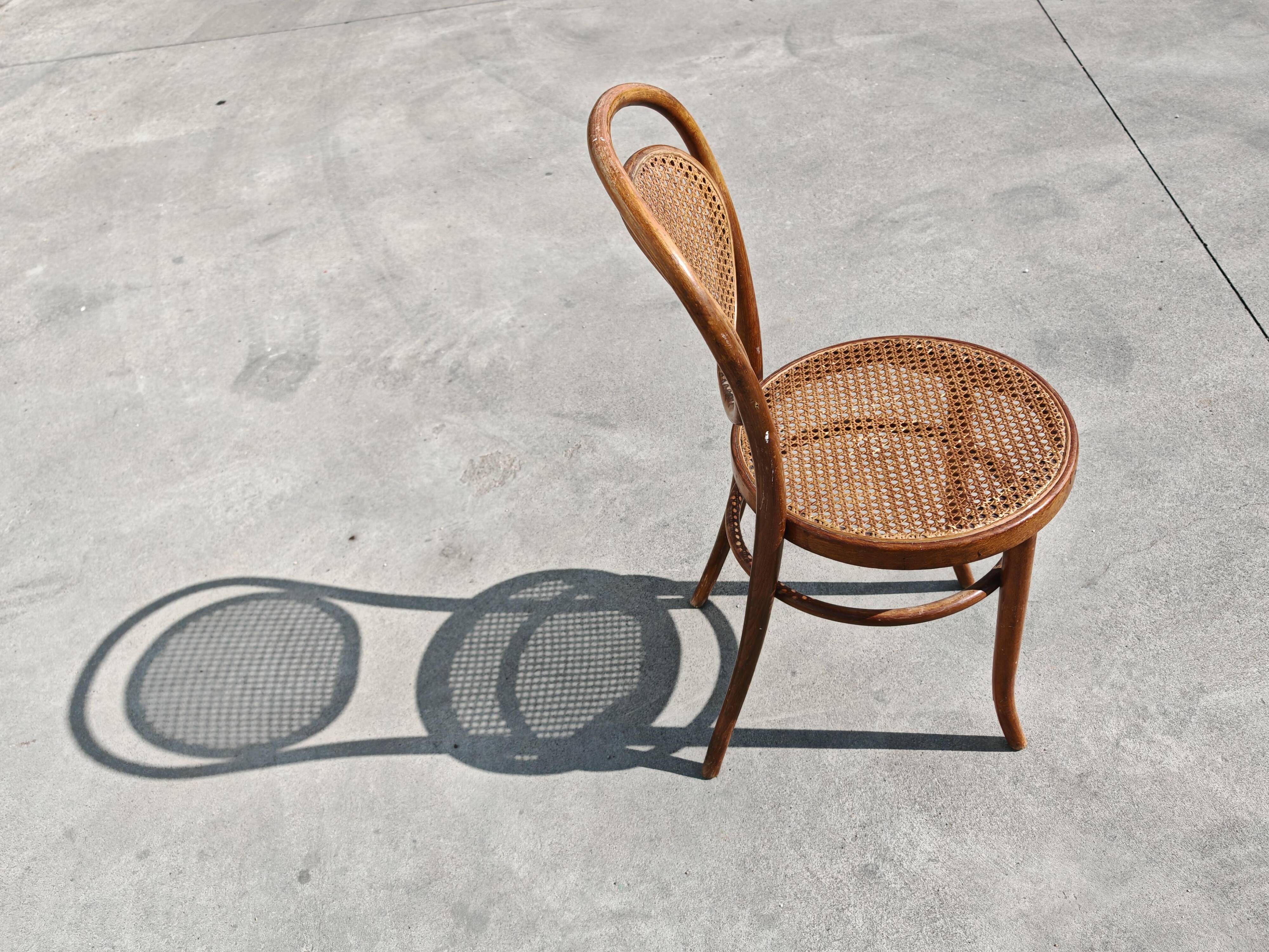 Paire de chaises en cannage et bois courbé par Mundus
