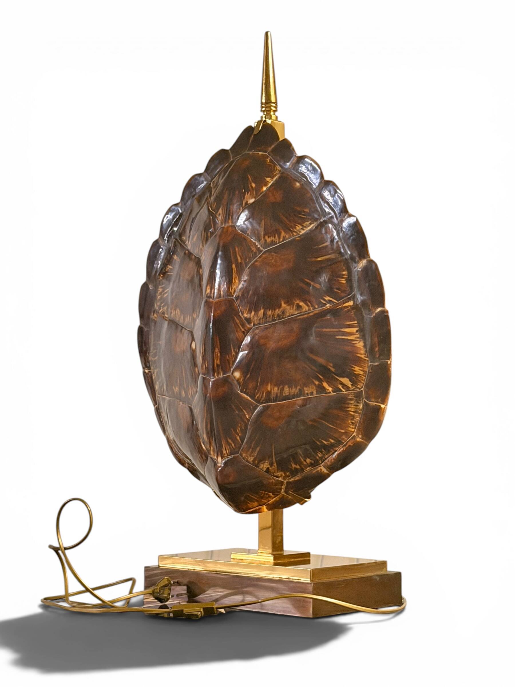 Lampe Tortue Maison Jansen - Véritable Écaille & Laiton (Circa 1970)