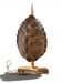 Lampe Tortue Maison Jansen - Véritable Écaille & Laiton (Circa 1970)