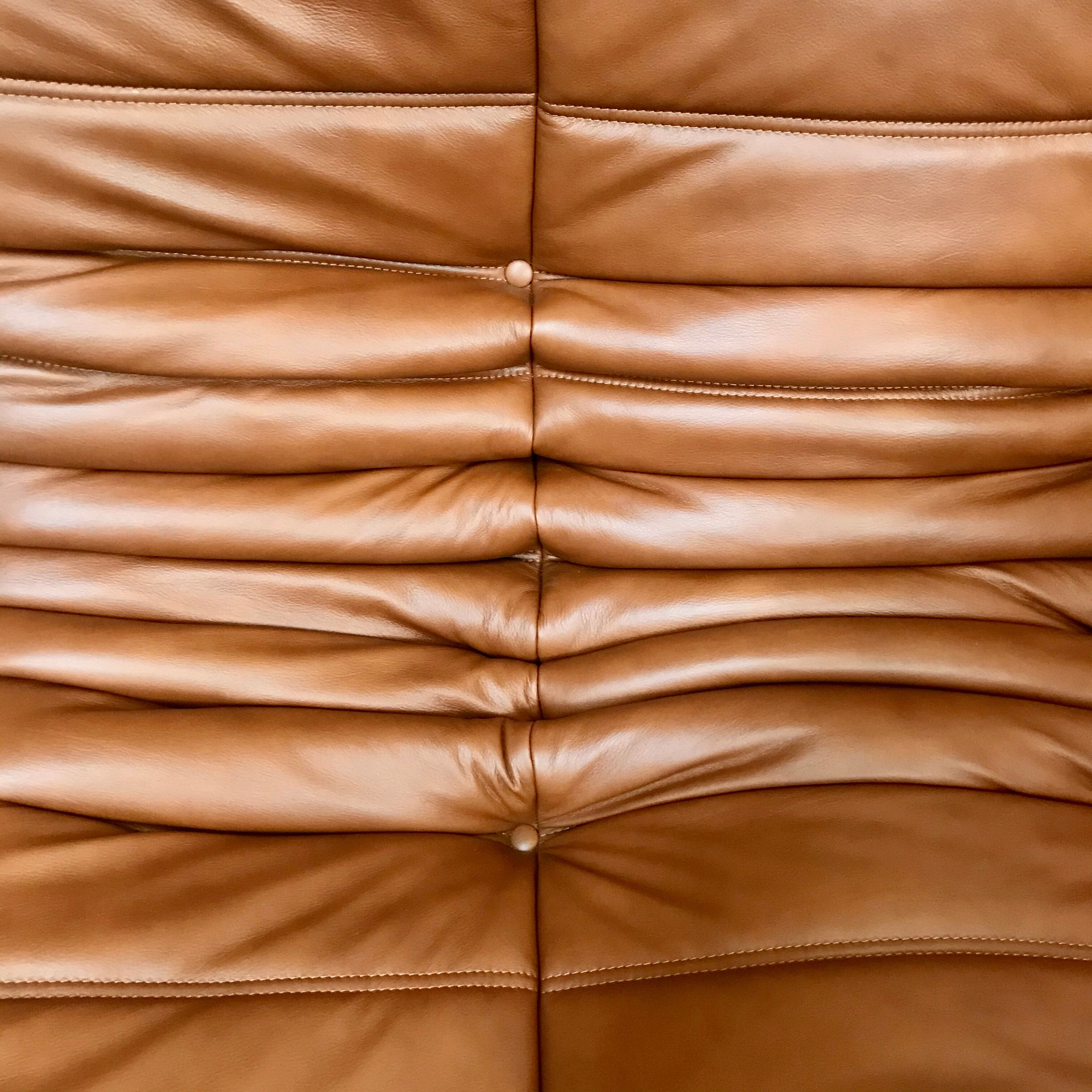 Togo sofa by Michel Ducaroy for Ligne Roset