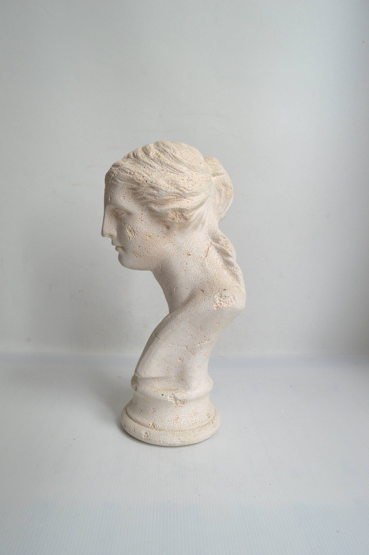 Bust of Venus