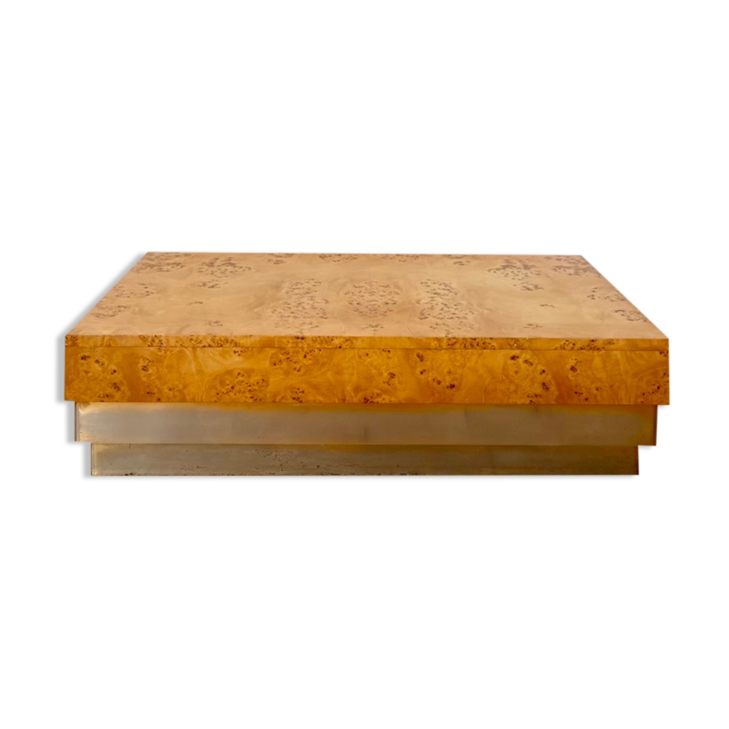 Elm magnifying glass coffee table