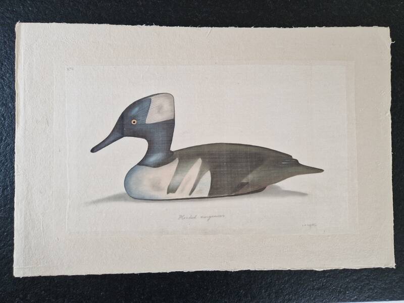 La Roche Laffitte (Born in 1943) - Watercolour drawing on fabric - Harle