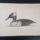 La Roche Laffitte (Born in 1943) - Watercolour drawing on fabric - Harle
