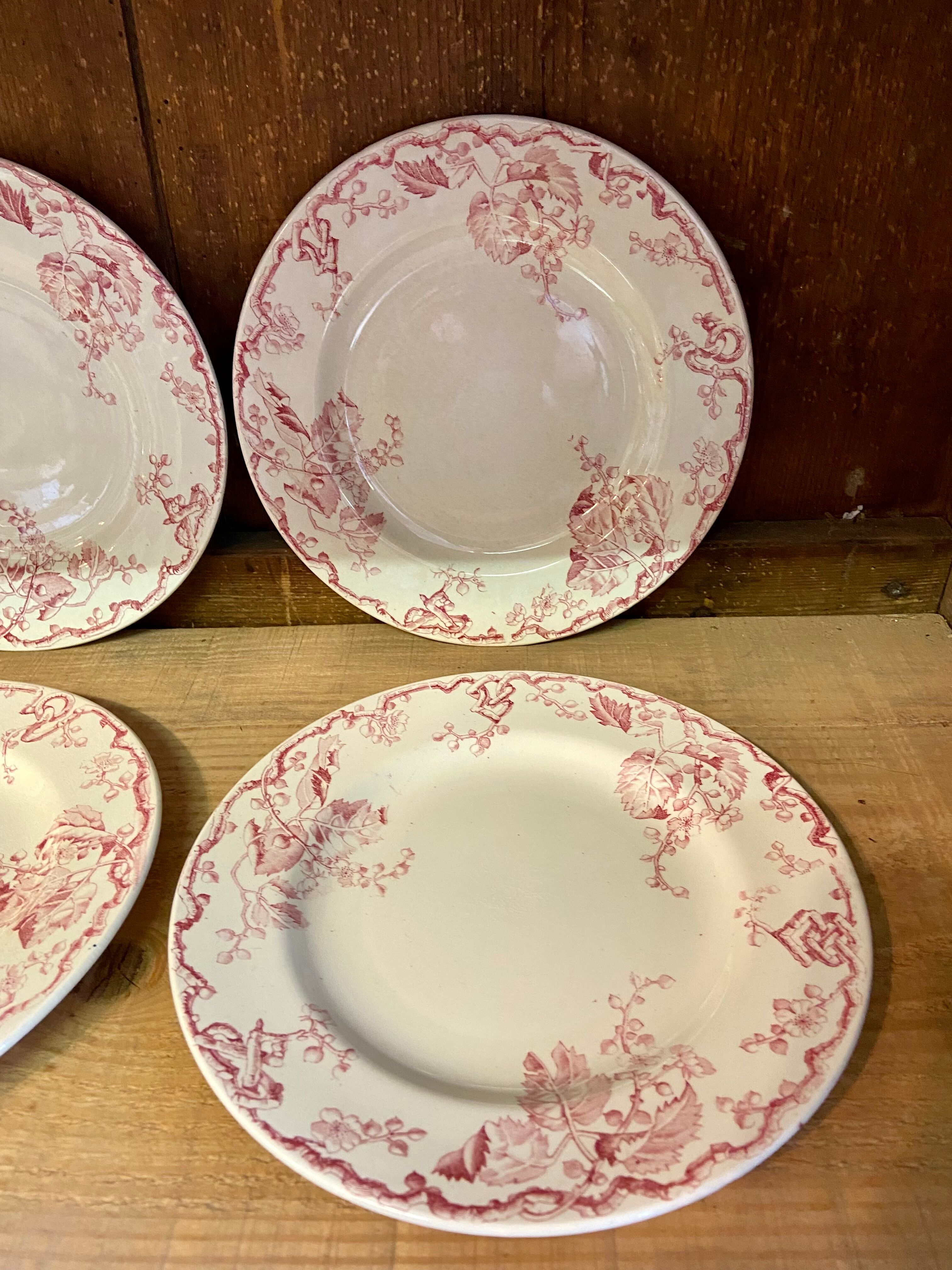 10 plates Terre de Fer Rouge