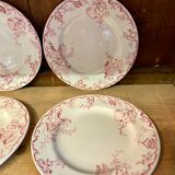 10 plates Terre de Fer Rouge