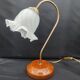 Lampe de bureau Col de cygne en laiton brossé et verre Style Art Nouveau