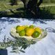 Large antique serving dish Sarreguemines Palmyre – floral earthenware v