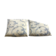 Lot de 2 coussins