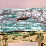 Old Burmese teak workshop stool