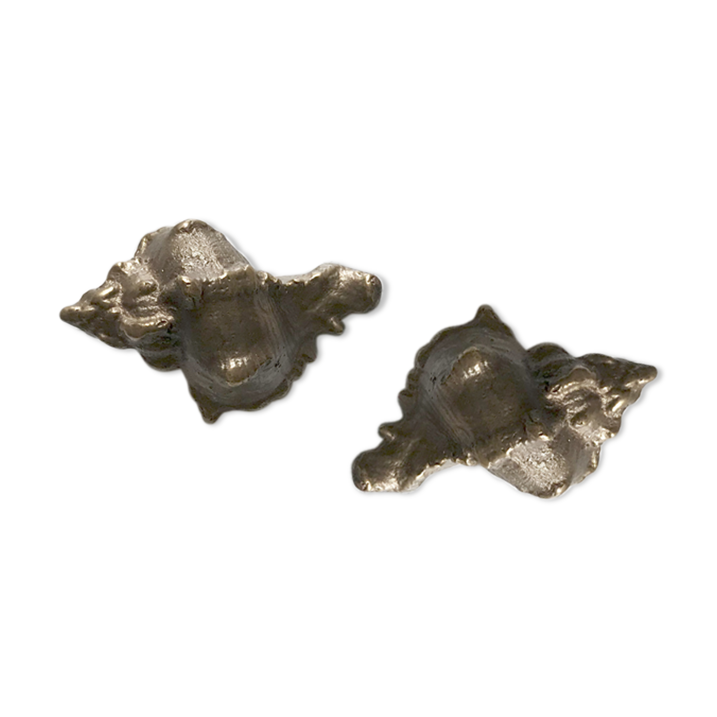 Pair of solid bronze shells