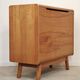 Cover chest, toy chest Landsman and Nepozitek Jitona.