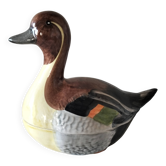 Barbotine canard