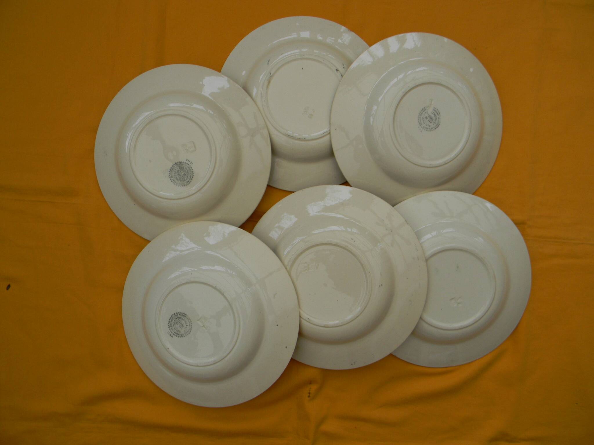 Set of 6 deep earthenware plates from CHOISY LE ROI Boulenger. IENA model.