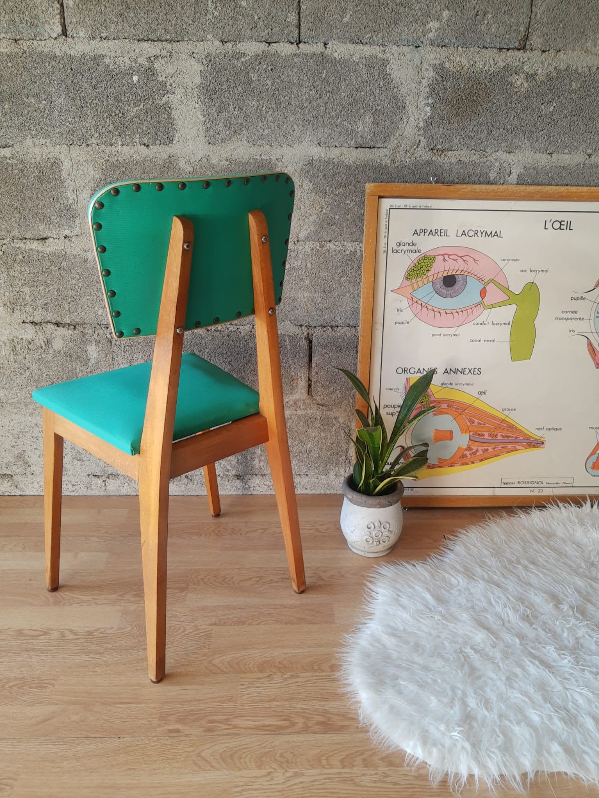 Beech chair compass feet 50s- 60s vinyl - vintage