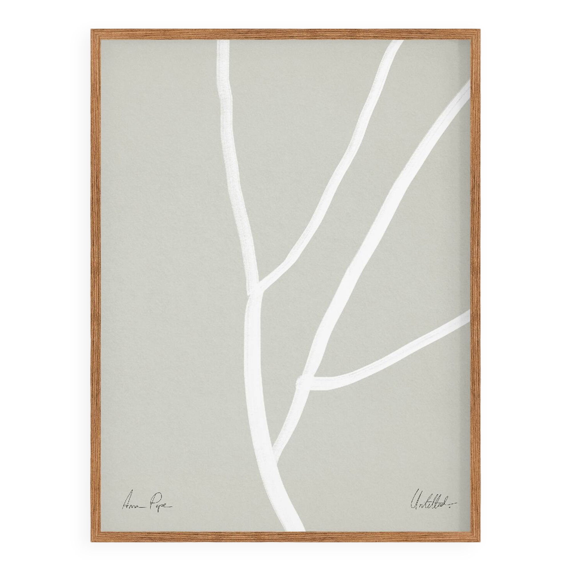 Botanical illustration white lines 50x70cm