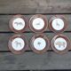 Set of 6 vintage "savannah animals" plates