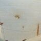 Oil on canvas signed sailboat boat 3 mats