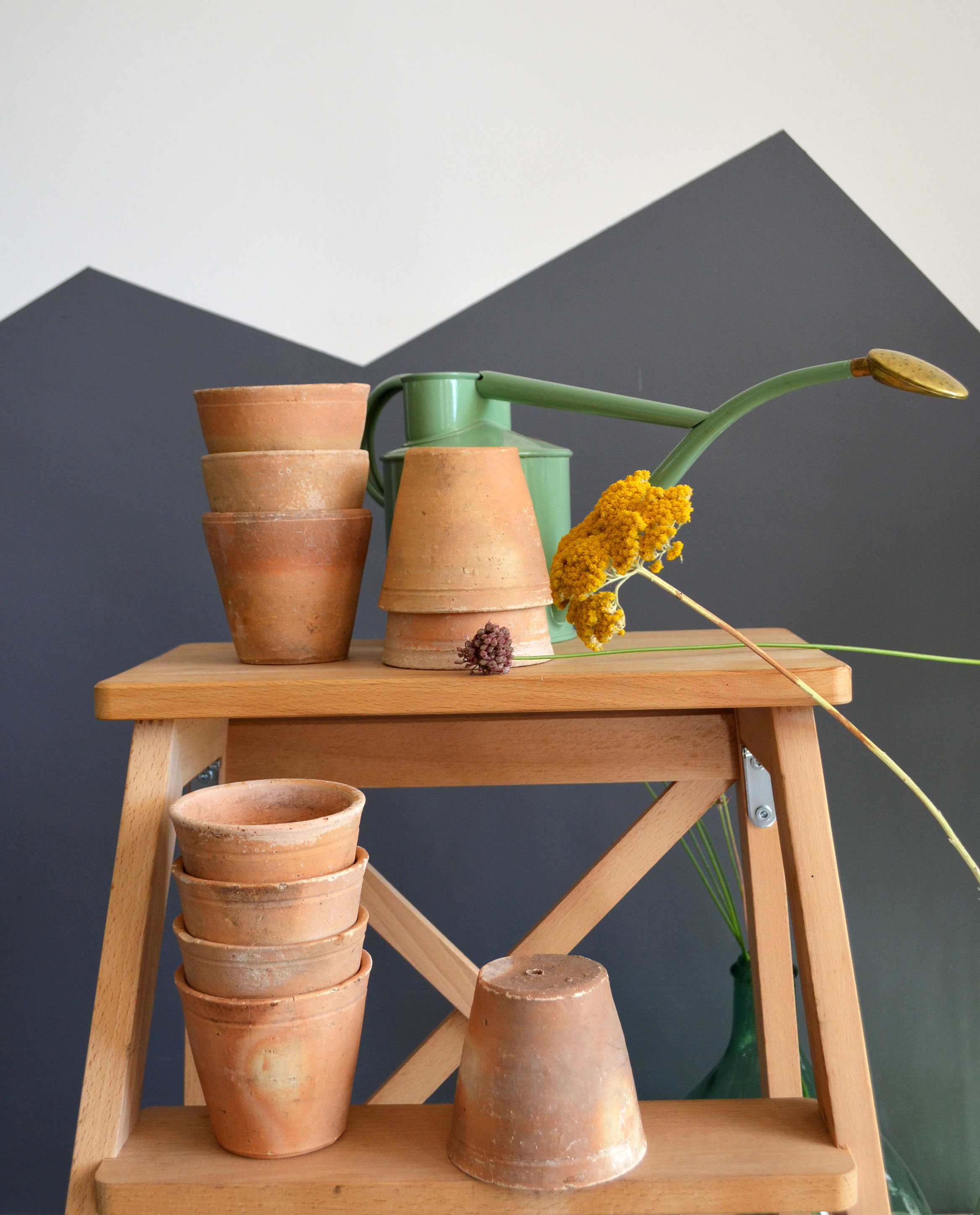 10 old seedling pots