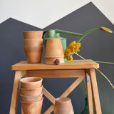 10 old seedling pots