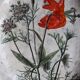 Plat céramique fleurs Dartmouth