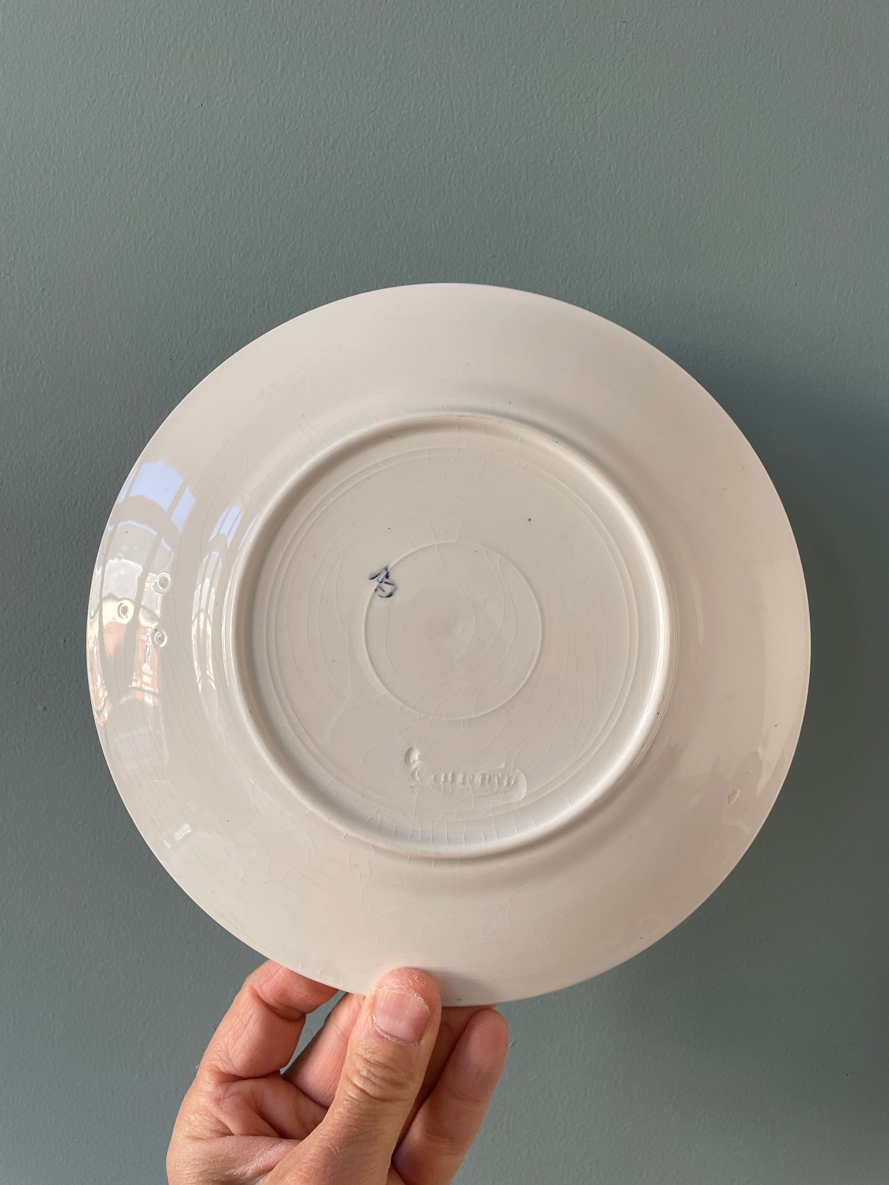 Series of 6 flat plates Iron Earth XIXth
