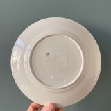 Series of 6 flat plates Iron Earth XIXth