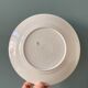 Series of 6 flat plates Iron Earth XIXth