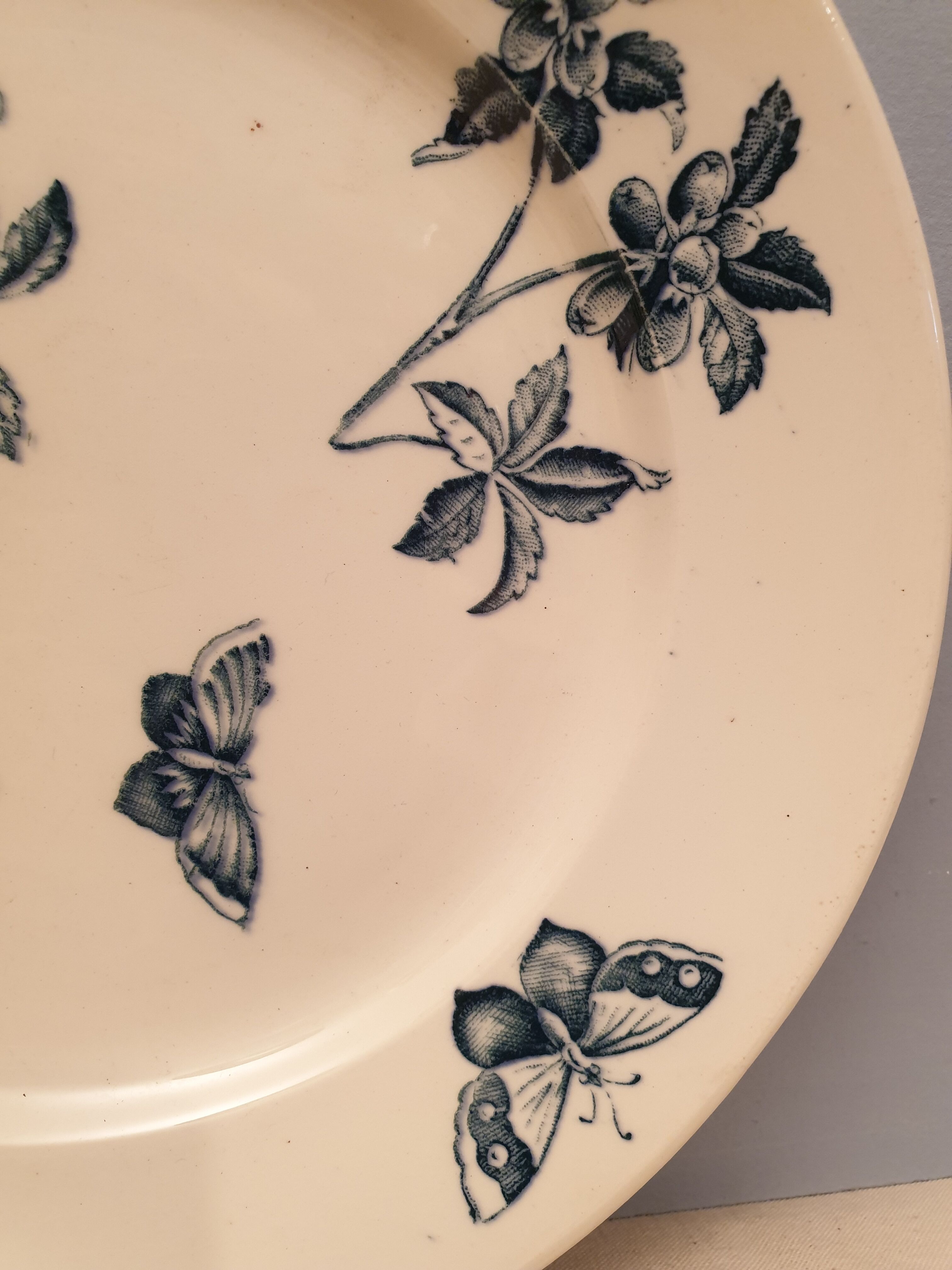 Flat plate Badonvillers