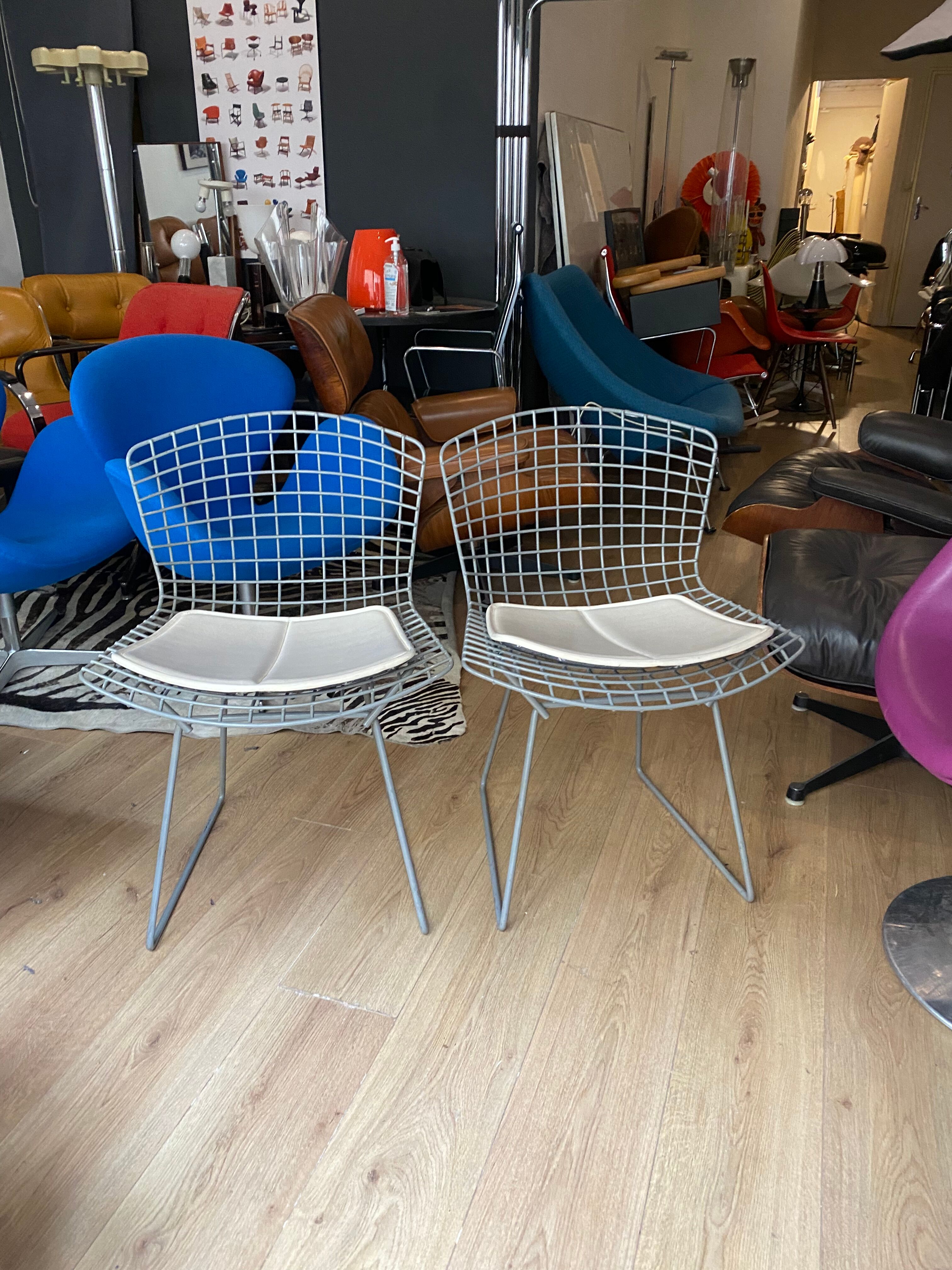 Chair Bertoia Rislan gray edition Knoll with white cake year 80