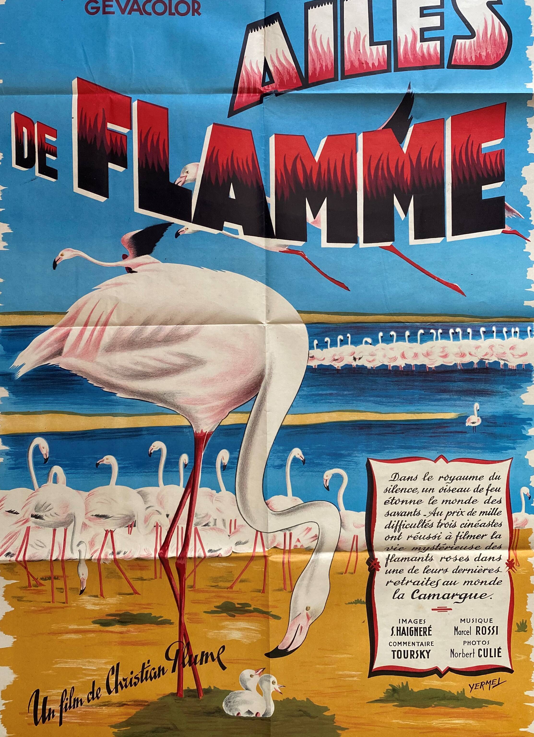 Original cinema poster "Wings of Flame" Camargue 65x100cm 1965