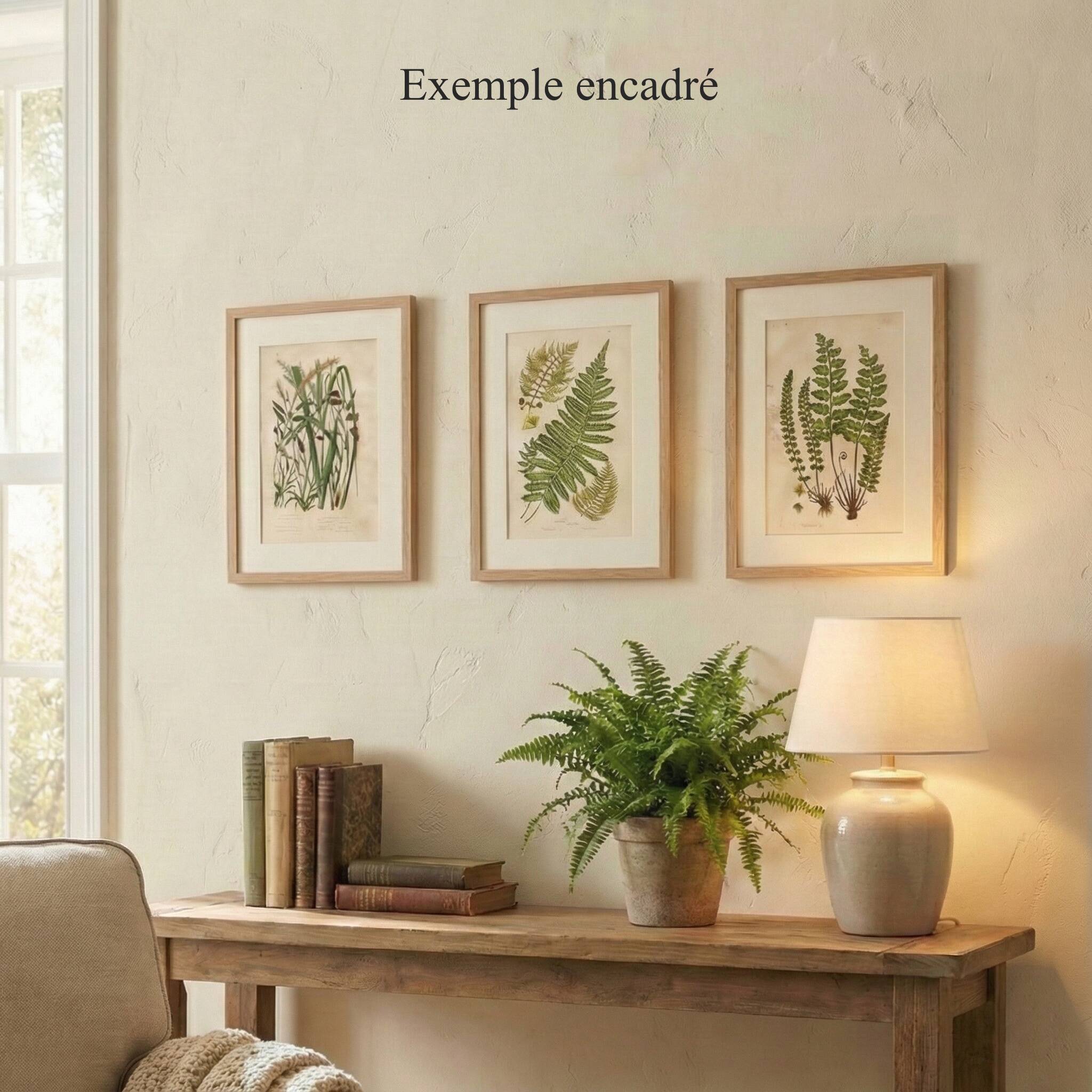 Engraving from 1889 - Wild Grasses - Antique botanical lithograph