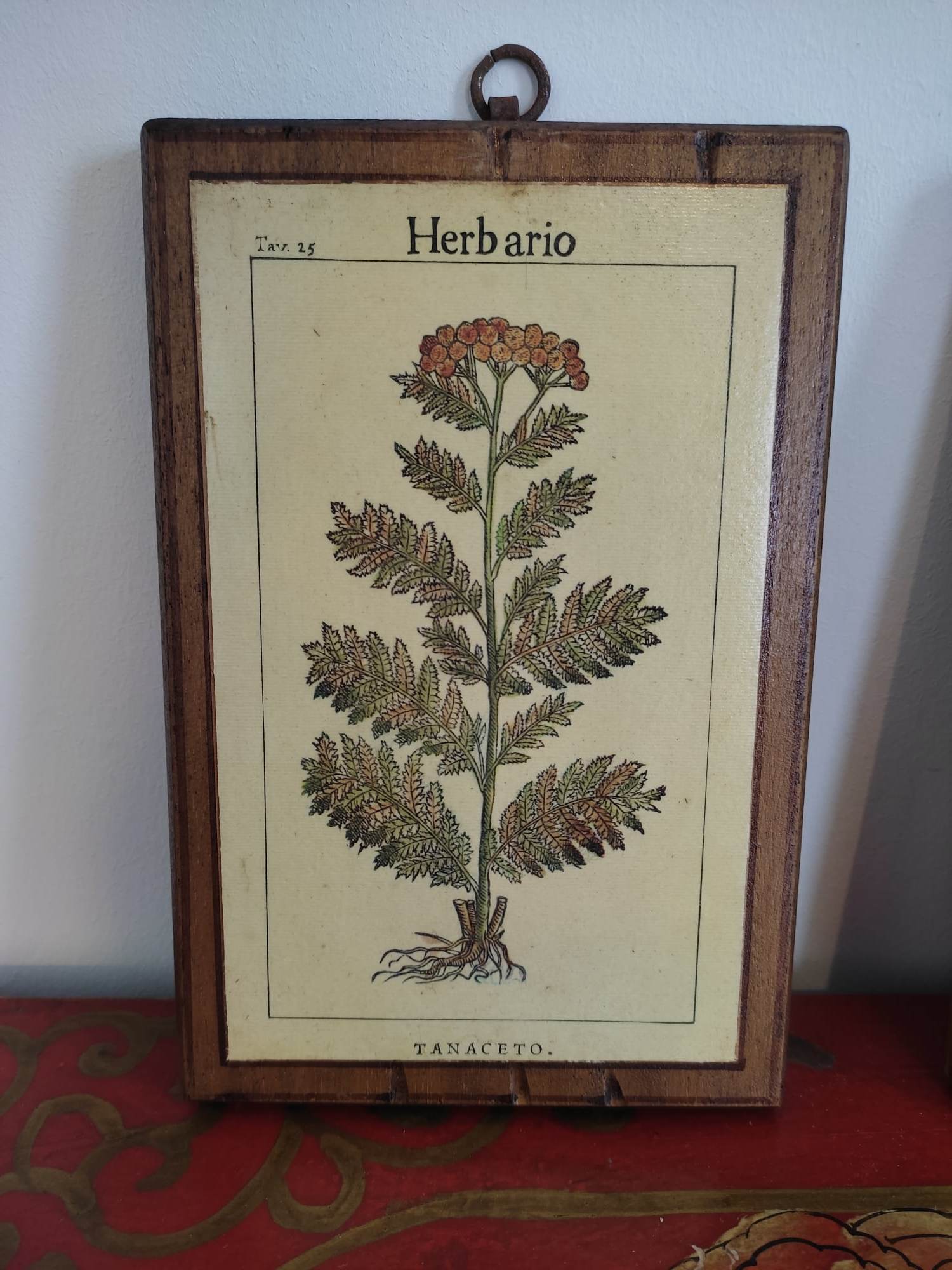 Set of 4 botanical boards with wooden frames
