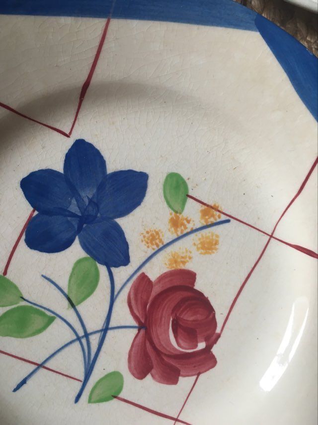 Set old flat plates flowered