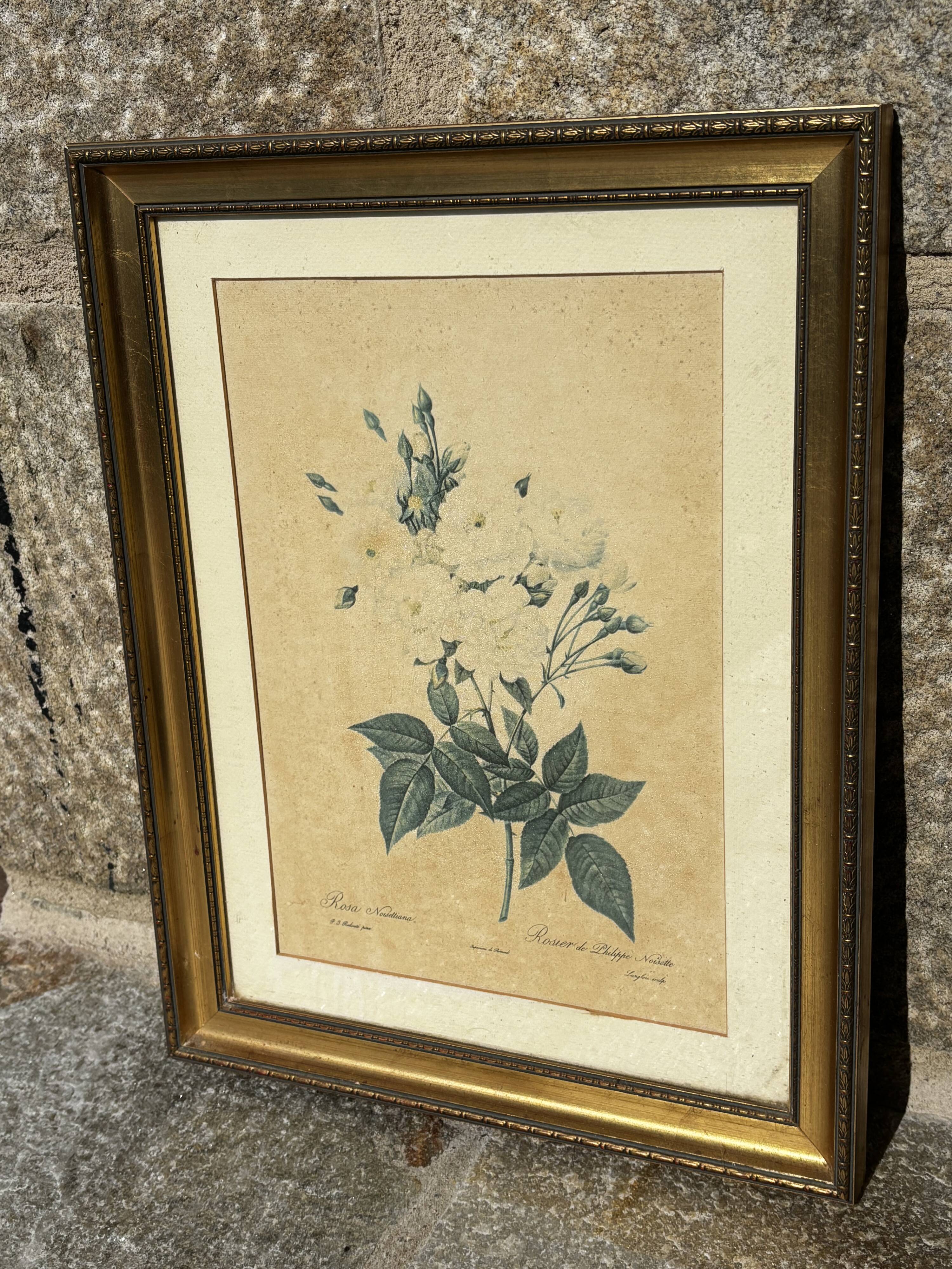 Rose table by Philippe Noisette