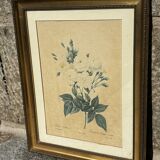 Rose table by Philippe Noisette