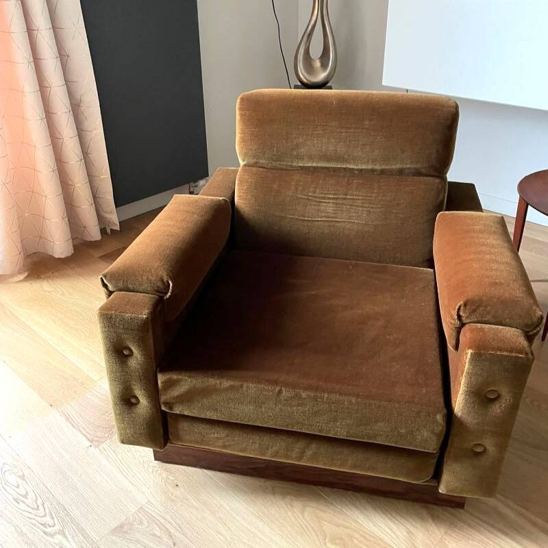 Paire de fauteuils vintage en velours et palissandre